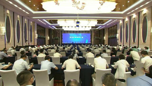 王文生參加全省航空發(fā)展大會